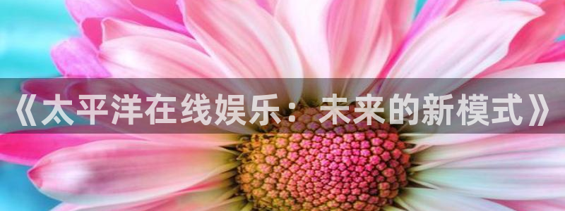 新航娱乐